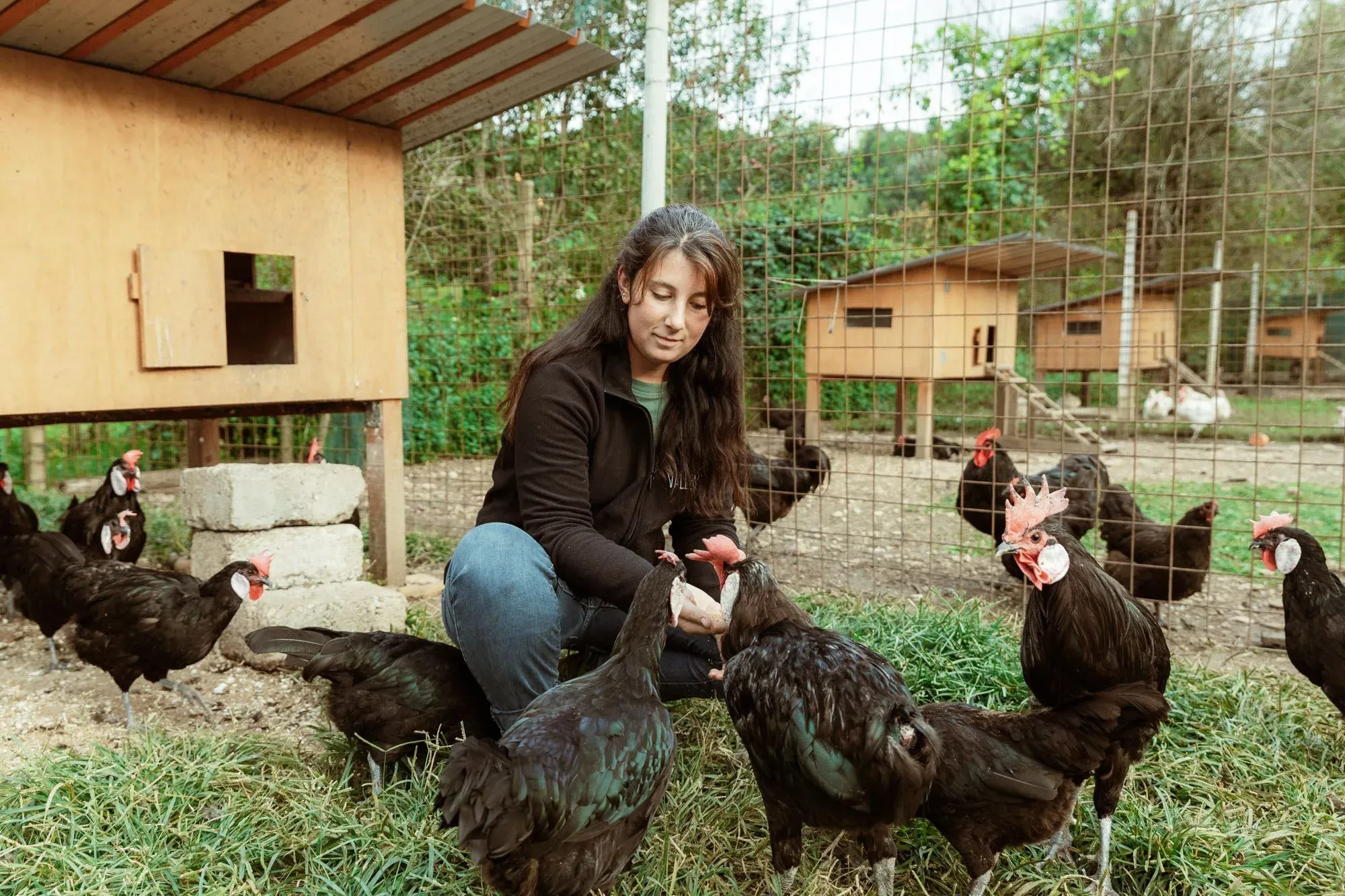 Ilaria con le galline in fattoria