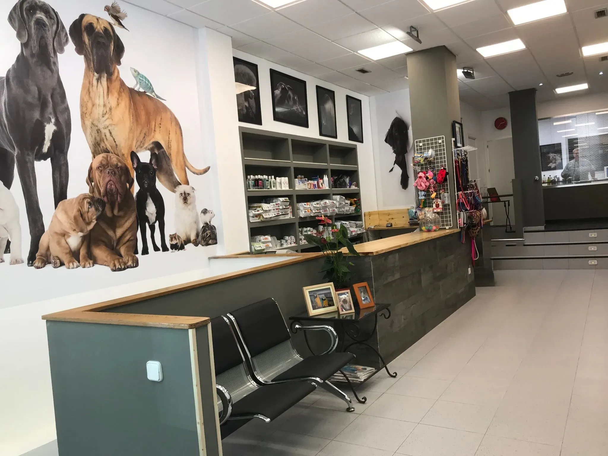 Clínica Veterinaria Mini