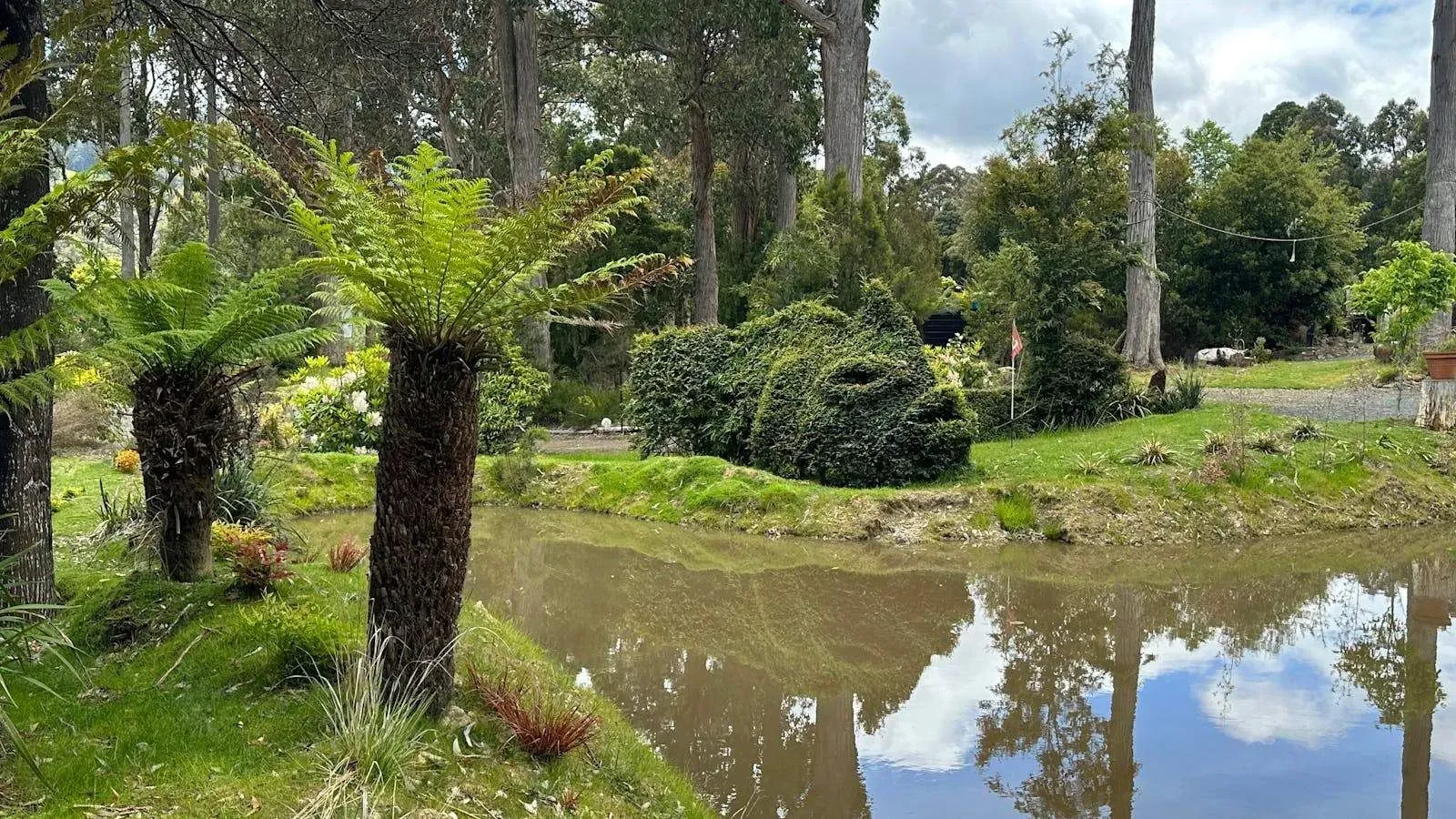 Left of Field Camping Gardens — photo 2